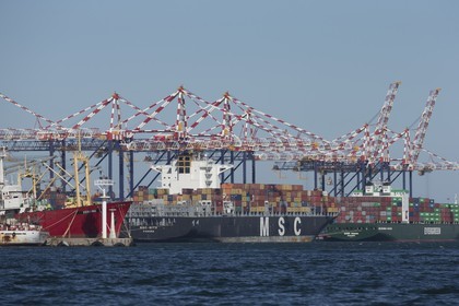 5 11 2014, Capetown (ZAF), Volvo Ocean Race 2014-15, Team Alvimedica