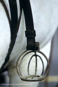Camargue (FRA,13) - Gardians