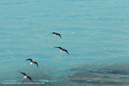 27 05 2009 - Marseille (FRA, 13) - Les Calanques - Sormiou