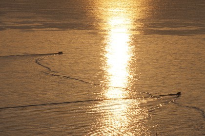 24 02 2012 - Napoli (ITA) - 34th America's Cup - America's Cup World Series Naples 2012 - As seen in Napoli