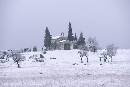 France , Provence, Paysage des Alpilles, Landscapes