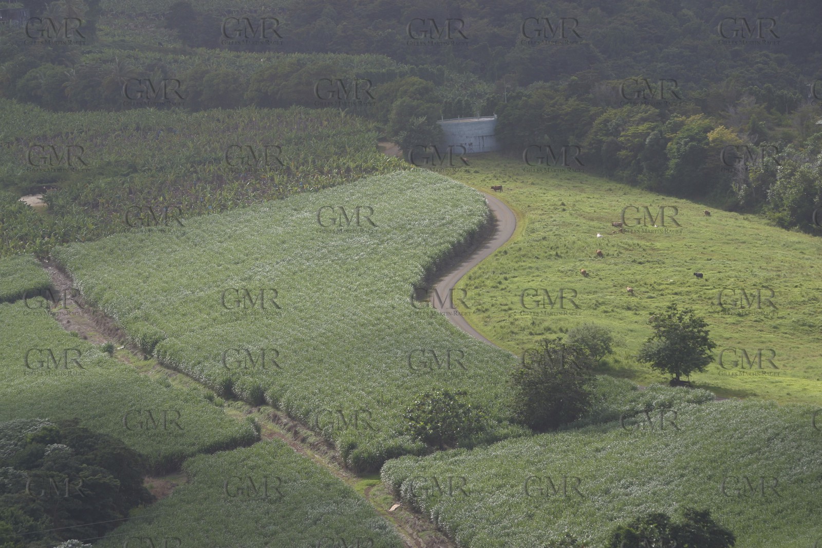 Guadelupe - Caribbean