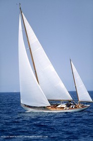 Dorade