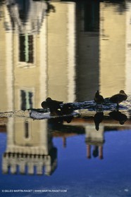 L'isle sur Sorgues