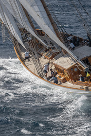 28 09 2022? Saint-Tropez,(FRA,83), Les Voiles de Saint-Tropez 2022 Régate N° 2 poup les modernes, navigation libre pour les grandes goélettes