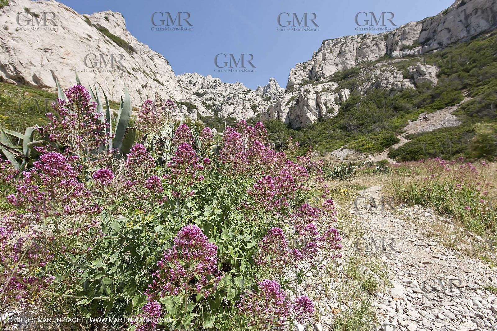 20 05 2009 - Marseille (FRA, 13) - Les Calanques - Calanque du Podestat