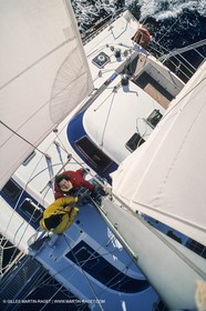 Voile, croisière, multicoque sous voile