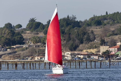 28 01 2016, Sète (FRA,34), Croisière sur le bassin de Thau, Bouzigue