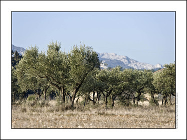 Produit : Tirage photo réalisé par nos soins sur imprimante jet d'encre professionnelle Epson à partir de 8 encres ultrachrome inaltérables (label Digigraphie).Formats au choix : . 30x40 cm. 50x70 cm. 80x120 cm.Choix des papiers :. Papier standard brillant 250 gr., filet noir, marge blanche, tirage non signé. Papier haut de gamme satiné 290 gr. filet noir, marge blanche, tirage vérifié et signé par l'auteur.. Autres supports (canvas, acrylique, dibond) sur demandeConditionnement : tube cylindrique renforcé.Options pour l'expédition : . colissimo + dépôt boîte aux lettres (France uniquement). Colissimo avec signature à réception. Transporteur express (2 jours ouvrés) avec signature à réceptionCliquez sur caddie pour sélectionner votre formule et démarrer la procédure de commande en ligne