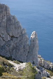 30 04 2009 - Marseille (FRA, 13) - Les Calanques - La Grande Candelle - Arrête de Marseille