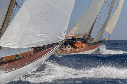 VST21D6_1540.jpg