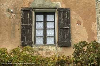 Luberon (FRA,84), Fall colors
