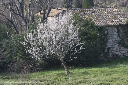 16 02 2008 - Les Baux de Provence (FRA, 13) - Alpilles hills landscapes