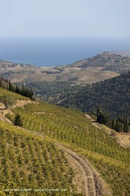 17 10 2011 - Côte Vermeille (FRA, 66) - Vgnobles des Corbières