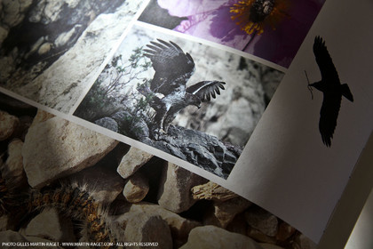 09 11 2010 - Marseille (FRA,13) - Photos du livre Calanques, si proches, si lointaines, Ed. Cres, Texte Juliette Lembot, Photos Gilles Martin-Raget