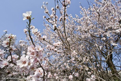 16 02 2008 - Les Baux de Provence (FRA, 13) - Alpilles hills landscapes