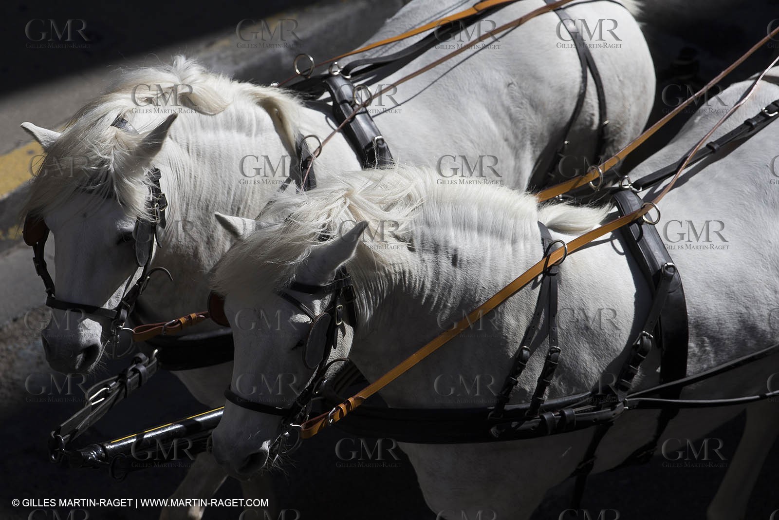 22nd Queen of Arles Election - Gardians of Camargue Annual Celebration - Arles (FRA,13) - May 1st 2014