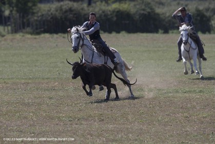 Course de Satin 2014 - Arles (FRA,13) - 1 06 2014**The satin race - Arles (FRA,13) - 01 06 2014