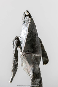 19 02 2020, Marseille (FRA), oeuvre de Germaine Richier, Chauve-souris 1965, Bronze patiné foncé, Numéroté 7 8, Fondeur L.Thinot, Paris, 15 x 11,2 x 7,5 cm, Collection Famille Germaine Richier
