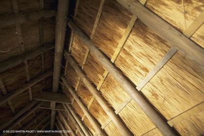 France, Provence, Camargue, Elevage de moutons, sheep breeding