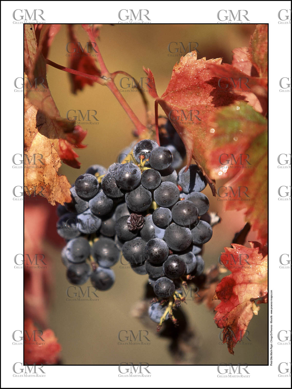 Product: in house made quality print on 8 ultrachome colors Epson ink Jet printer.Available sizes: . 30x40 cm. 50x70 cm. 80x120 cmAvailable papers: . Standard 250 gr glossy paper print, black streak, white margin, no signature. Top quality glossy 290 gr. paper, black streak, white margin, checked and signed by the author. Fine Art print (signed, numbered, stamped, registered) on demand. Other supports (Canvas, Acrylic, Metal) on demandPackaging: cylindric reinforced tubeShipping options: regular mail or Shipping companyClick on the basket icon to select your options and start the online ordering process