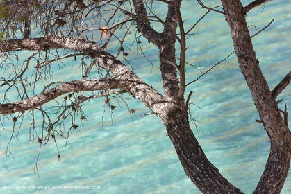 27 05 2009 - Marseille (FRA, 13) - Les Calanques - Sormiou