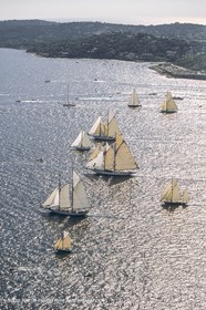 Nioulargue Voiles de Saint Tropez
