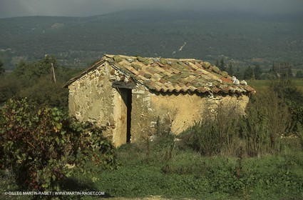 Luberon (FRA,84), Fall colors