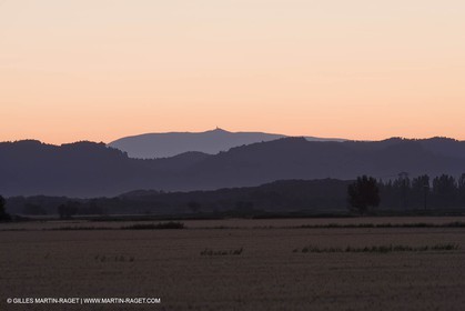 24 Juin 2008 - Saint Rémy de Provence (FRA-13) - Paysage des Alpilles