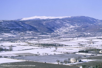 France, Provence, Lubéron, Haute ProvencePlateau de Sault, Mont Ventoux