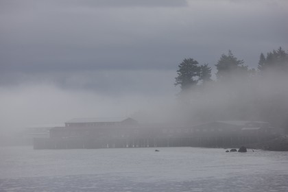 26 08 2008 - Anacortes (WA, USA) - America's Cup - BMW ORACLE Racing - 90 ft trimaran launch - structural tests completed by design team