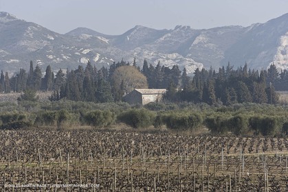 16 02 2008 - Les Baux de Provence (FRA, 13) - Alpilles hills landscapes