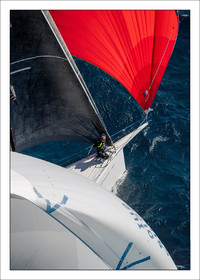 Produit : Tirage photo réalisé par nos soins sur imprimante jet d'encre professionnelle Epson à partir de 8 encres ultrachrome inaltérables (label Digigraphie).Formats au choix :. 30x40 cm. 50x70 cm. 80x120 cm.Choix des papiers :. Papier standard brillant 250 gr., filet noir, marge blanche, tirage non signé. Papier haut de gamme satiné 290 gr. filet noir, marge blanche, tirage vérifié et signé par l'auteur.. Autres supports (canvas, acrylique, dibond) sur demandeConditionnement : tube cylindrique renforcé.Options pour l'expédition :. colissimo + dépôt boîte aux lettres (France uniquement). Colissimo avec signature à réception. Transporteur express (2 jours ouvrés) avec signature à réceptionCliquez sur caddie pour sélectionner votre formule et démarrer la procédure de commande en ligne