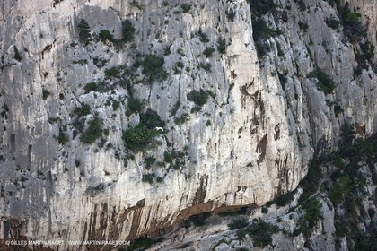 03 05 2009 - Marseille (FRA, 13) - Les Calanques - En Vau
