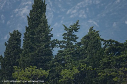 June 24th 2008 - Saint Rémy de Provence (FRA,13) - Alpilles hills landscapes