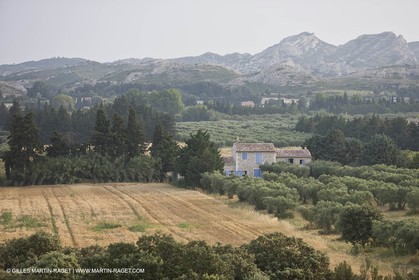 June 24th 2008 - Mouriès (FRA,13) - Alpilles hills landscapes - Le Destet area