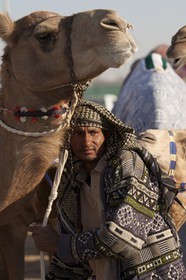 20 11 2010 - Dubai (UAE) - Camel races