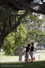 Sydney, Australia, Thomas Coville trimaran Sodebo building at Boat Speed