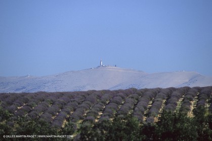 France, Provence, Mont Ventoux