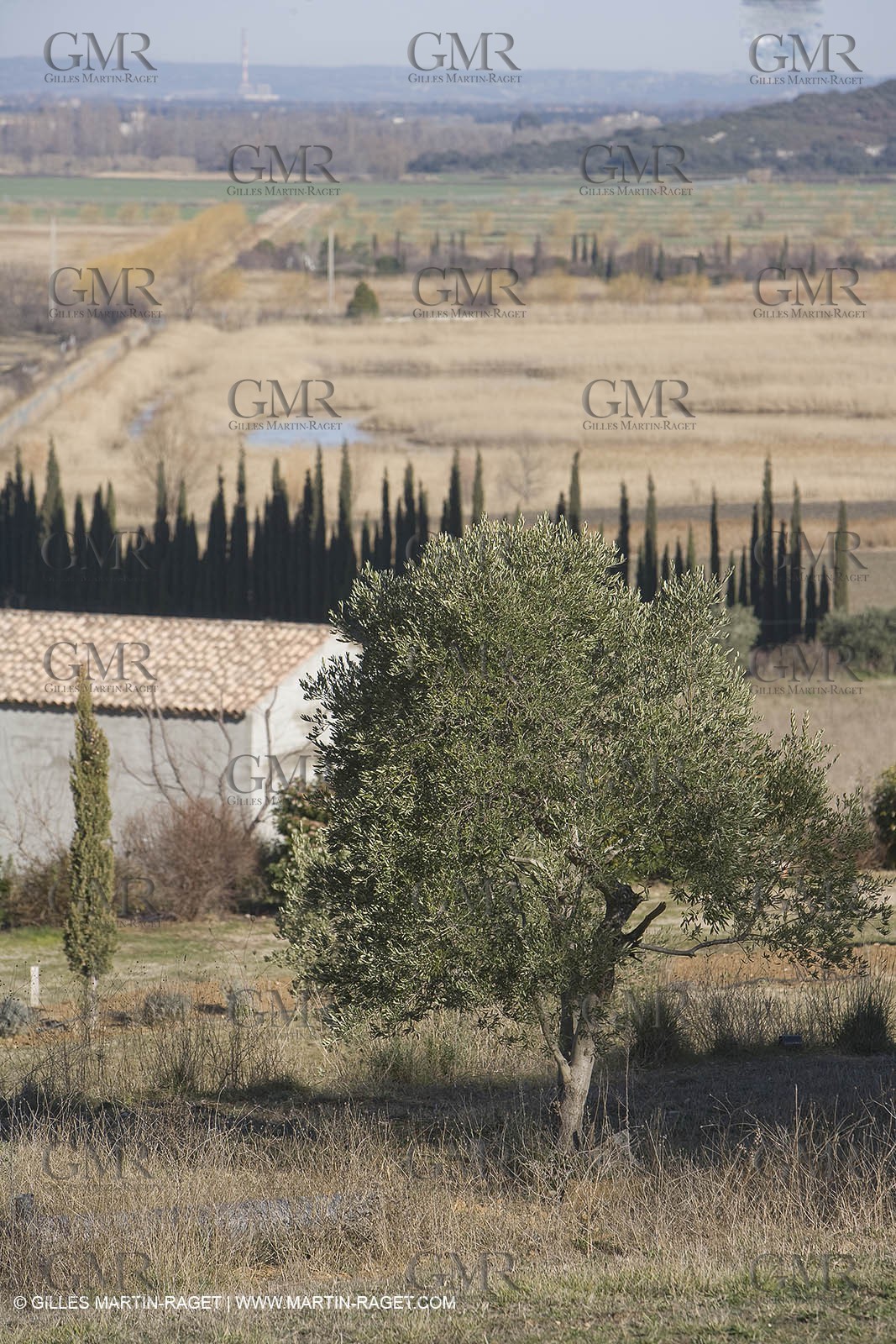 05 02 2008 - Arles (FRA, 13) - Arles surroundings landscapes