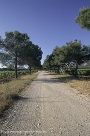 France, south, Alpilles landscapes