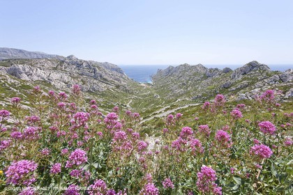 27 05 2009 - Marseille (FRA, 13) - Les Calanques - Sormiou
