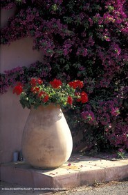 Porquerolles Island