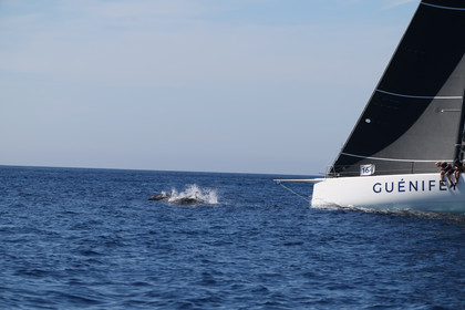 GMR_JurisCup25_3348.jpg