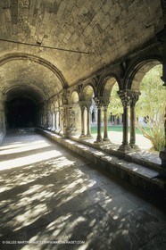 France , Provence, Saint Rémy de Provence
