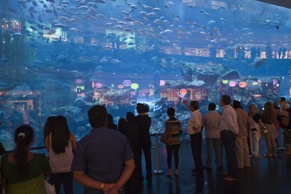 21 11 2010 - Dubai (UAE) - The Mall
