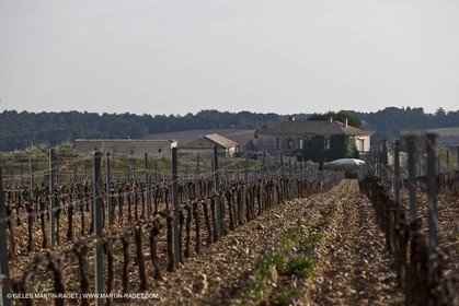 Saint Drézéry (FRA, 34), Domaine de Puech Haut