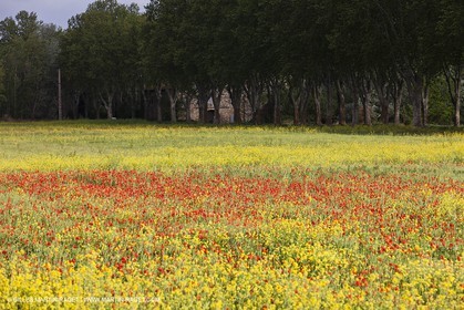 29 04 2012 ( Saint Rémy de Provence (FRA, 13) - Chaîne des Alpilles vers Romanin