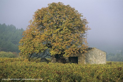 France, Provence, Luberon