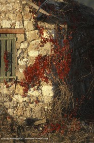 Luberon (FRA,84), Couleurs d'automne